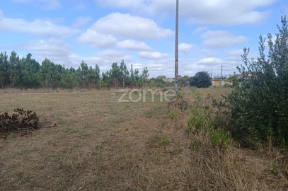 Terreno para Venda em Febres