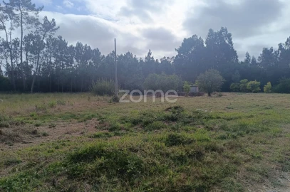 Terreno para Venda em Febres