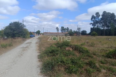 Terreno para Venda em Febres