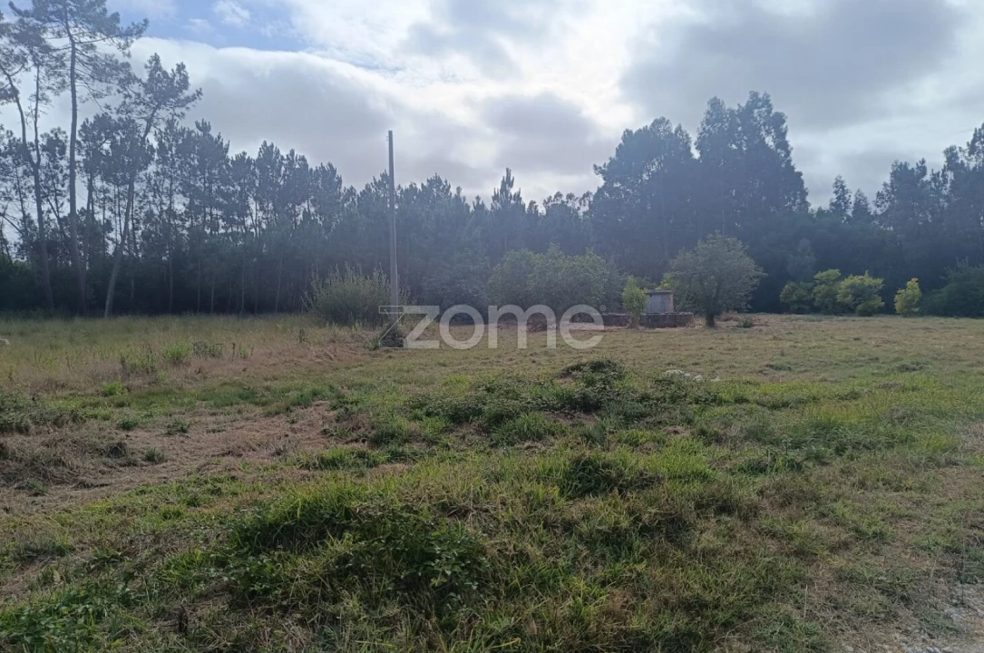 Terreno para Venda em Febres Foto 8