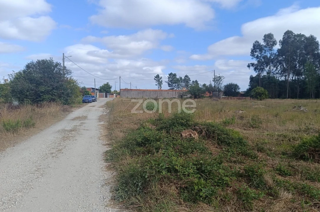 Terreno para Venda em Febres Foto 4