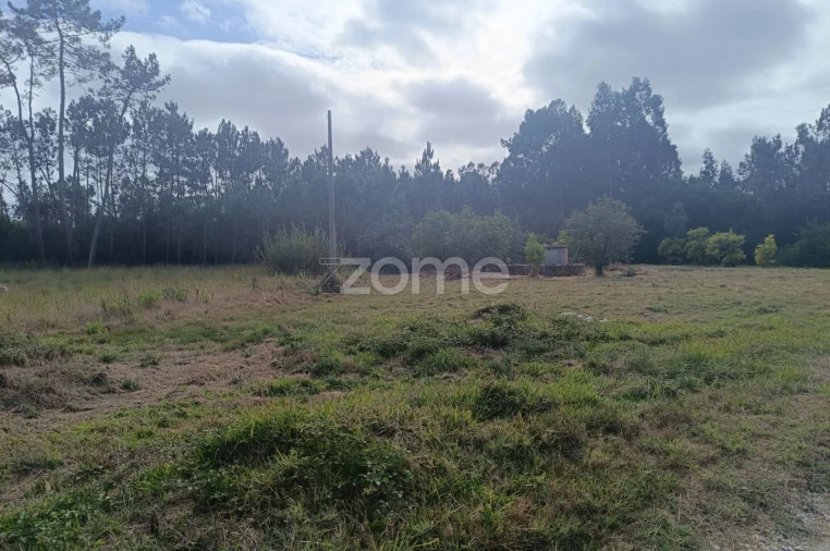 Terreno para Venda em Febres Foto 8