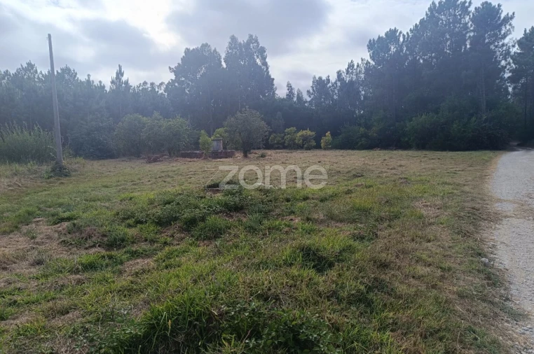 Terreno para Venda em Febres Foto 12