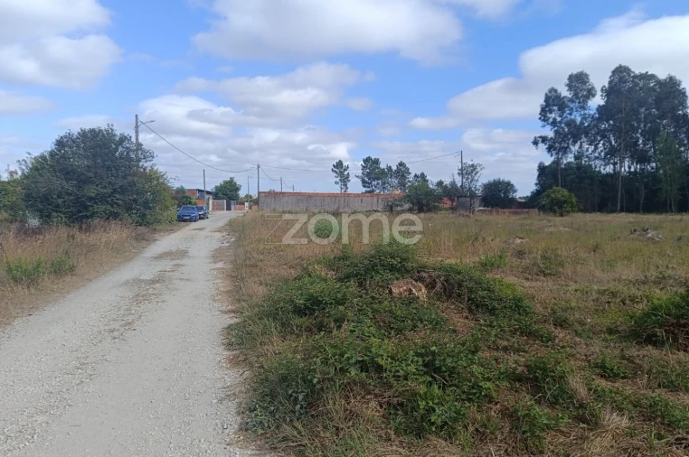Terreno para Venda em Febres Foto 15