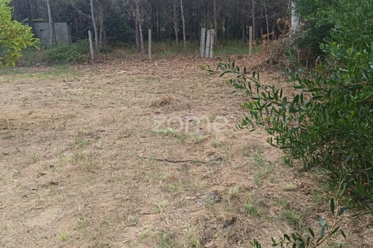 Terreno para Venda em Febres Foto 6