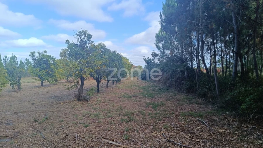 Terreno para Venda em Febres