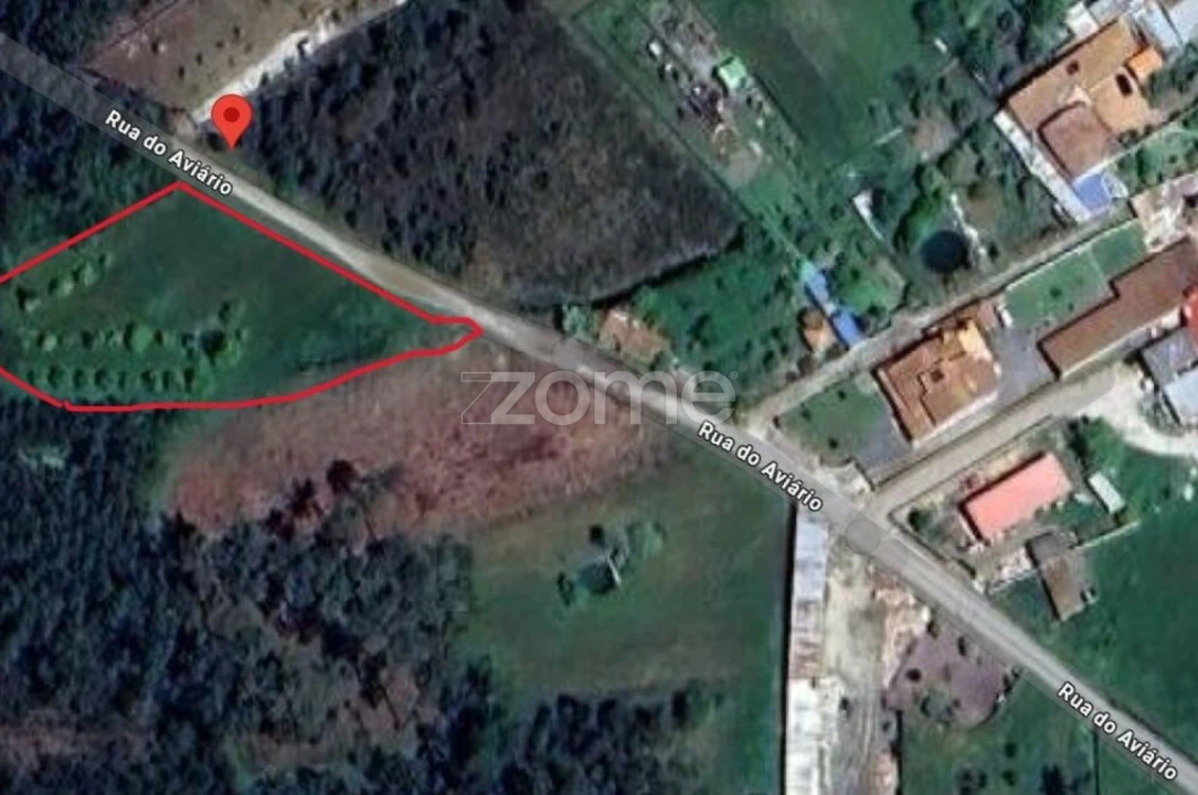 Terreno para Venda em Febres Foto 11
