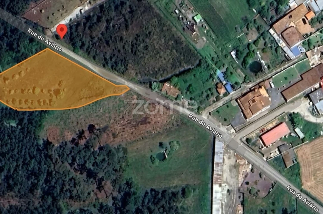 Terreno para Venda em Febres Foto 1