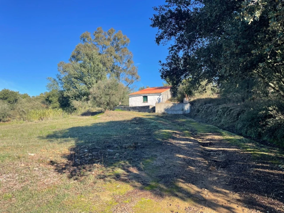 Quinta para Venda em Abrantes (São Vicente e São João) e Alferrarede Foto 1