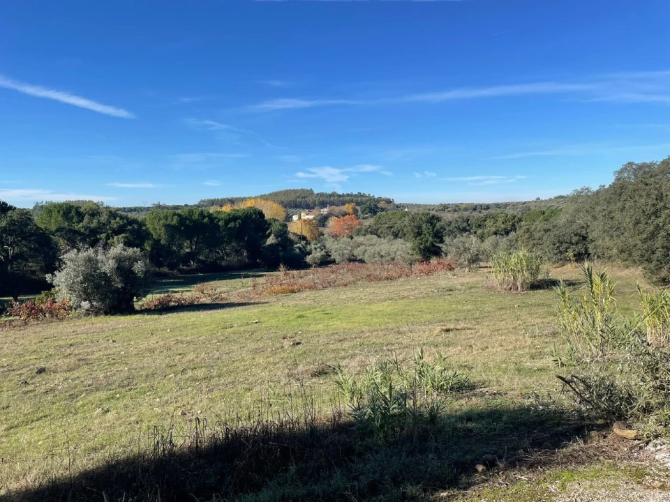 Quinta para Venda em Abrantes (São Vicente e São João) e Alferrarede Foto 15