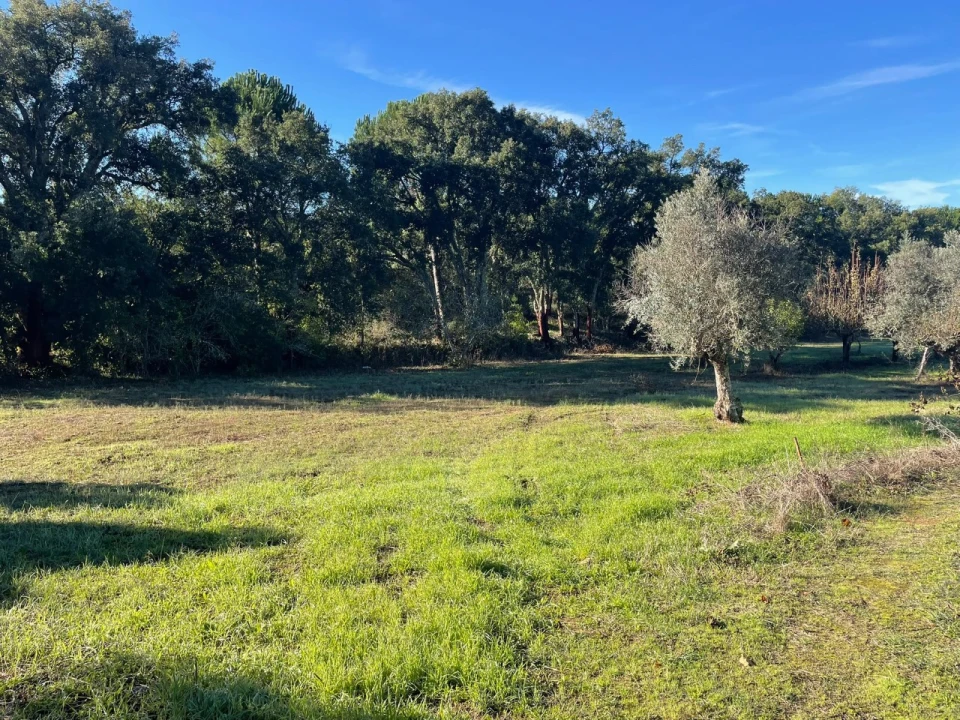 Quinta para Venda em Abrantes (São Vicente e São João) e Alferrarede Foto 16