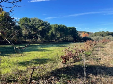 Quinta para Venda em Abrantes (São Vicente e São João) e Alferrarede