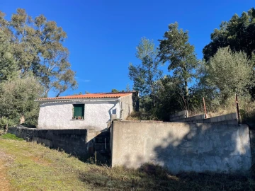 Quinta para Venda em Abrantes (São Vicente e São João) e Alferrarede