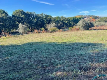 Quinta para Venda em Abrantes (São Vicente e São João) e Alferrarede