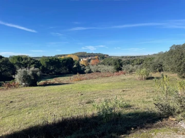 Quinta para Venda em Abrantes (São Vicente e São João) e Alferrarede