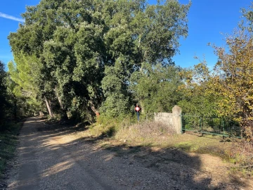 Quinta para Venda em Abrantes (São Vicente e São João) e Alferrarede