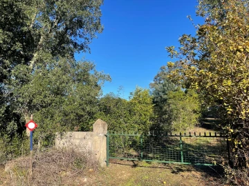 Quinta para Venda em Abrantes (São Vicente e São João) e Alferrarede