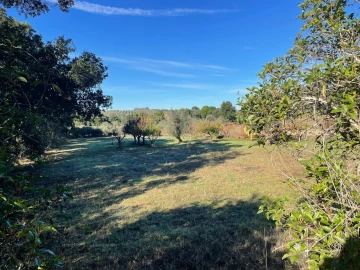 Quinta para Venda em Abrantes (São Vicente e São João) e Alferrarede