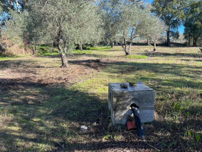 Quinta para Venda em Abrantes (São Vicente e São João) e Alferrarede Foto 5