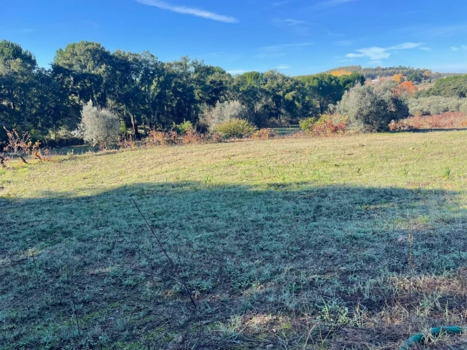 Quinta para Venda em Abrantes (São Vicente e São João) e Alferrarede Foto 4