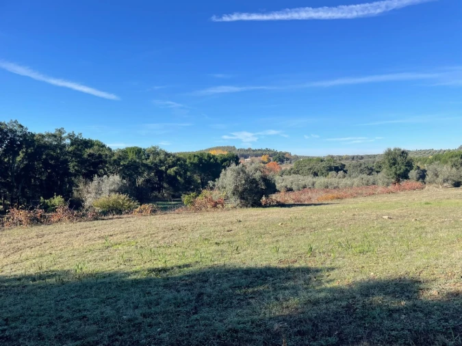 Quinta para Venda em Abrantes (São Vicente e São João) e Alferrarede Foto 14