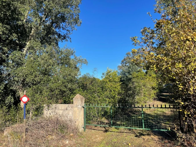 Quinta para Venda em Abrantes (São Vicente e São João) e Alferrarede Foto 19