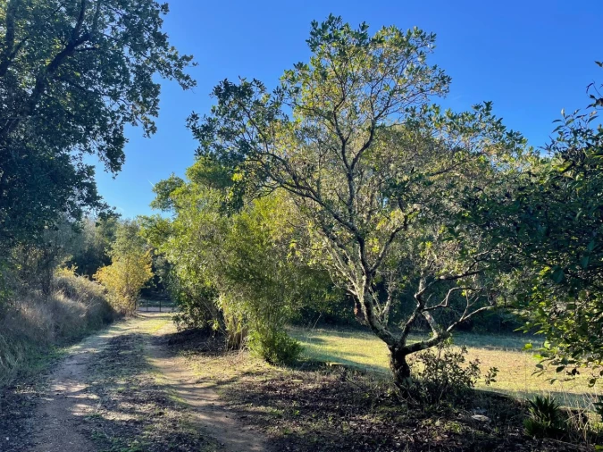 Quinta para Venda em Abrantes (São Vicente e São João) e Alferrarede Foto 20