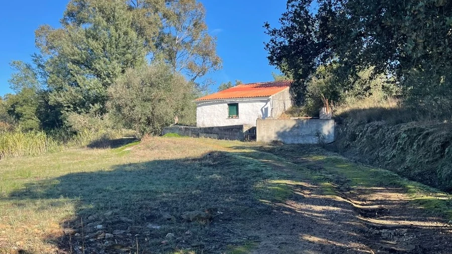 Quinta para Venda em Abrantes (São Vicente e São João) e Alferrarede