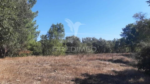 Terreno para Venda em Azeitão (São Lourenço e São Simão)