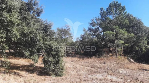 Terreno para Venda em Azeitão (São Lourenço e São Simão)