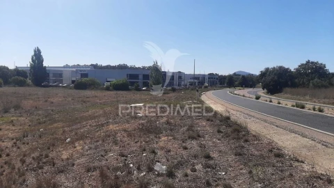 Terreno para Venda em Azeitão (São Lourenço e São Simão)