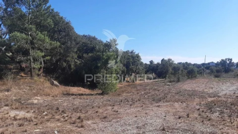 Terreno para Venda em Azeitão (São Lourenço e São Simão)