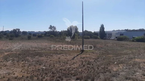 Terreno para Venda em Azeitão (São Lourenço e São Simão)