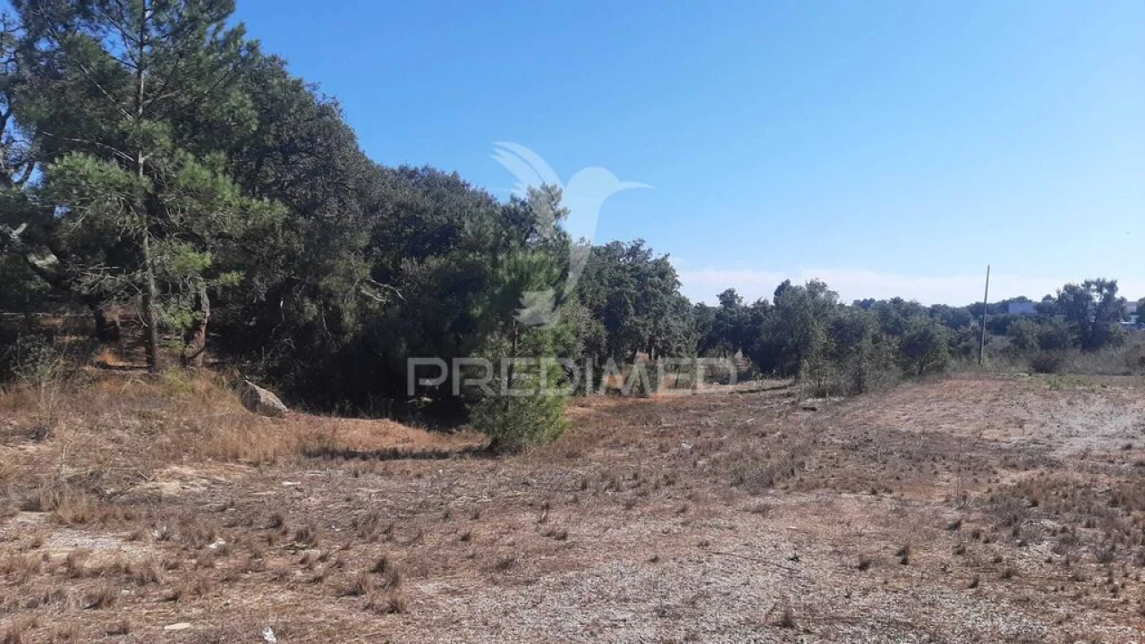 Terreno para Venda em Azeitão (São Lourenço e São Simão) Foto 3