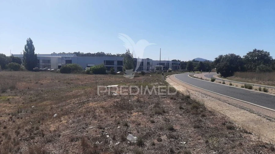 Terreno para Venda em Azeitão (São Lourenço e São Simão)