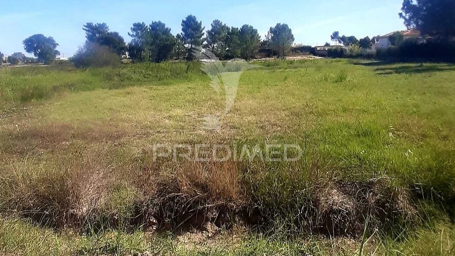 Terreno para Venda em Azeitão (São Lourenço e São Simão)