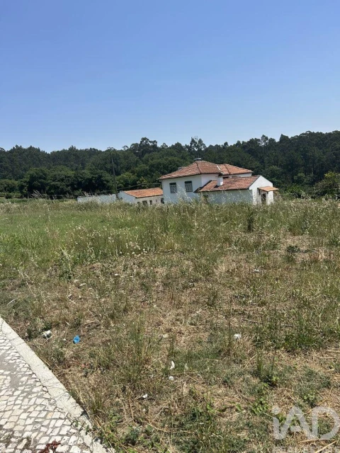Terreno para Venda em O. Azeméis, Riba-Ul, Ul, Macinhata Seixa, Madail