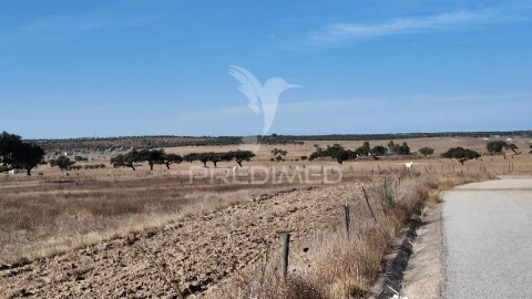 Terreno para Venda em Rosario