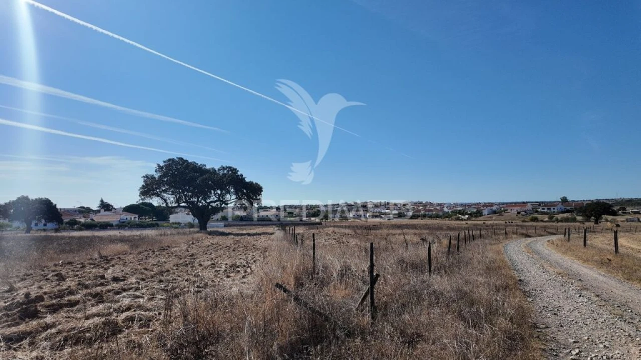 Terreno para Venda em Rosario Foto 7