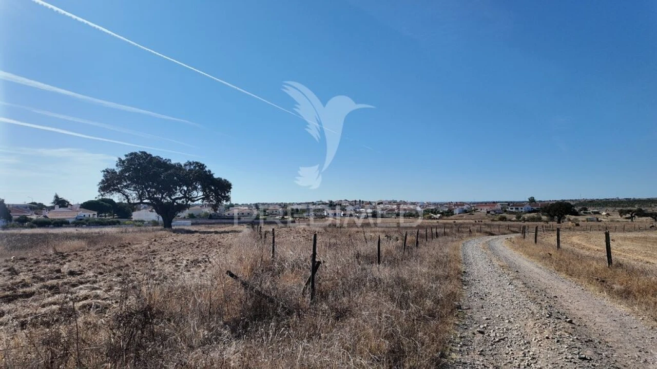 Terreno para Venda em Rosario Foto 5