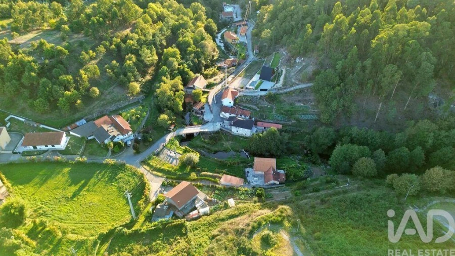 Terreno para Venda em Fonte Arcada e Oliveira Foto 19