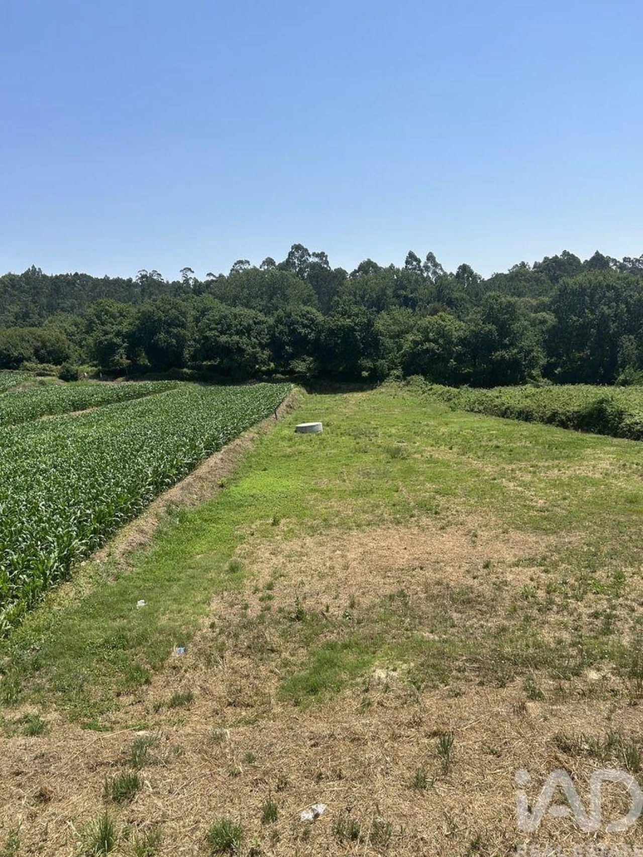 Terreno para Venda em O. Azeméis, Riba-Ul, Ul, Macinhata Seixa, Madail Foto 1