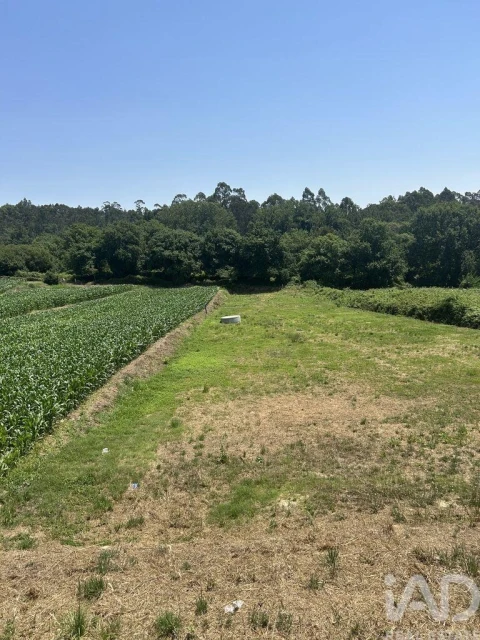 Terreno para Venda em O. Azeméis, Riba-Ul, Ul, Macinhata Seixa, Madail