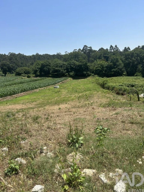 Terreno para Venda em O. Azeméis, Riba-Ul, Ul, Macinhata Seixa, Madail