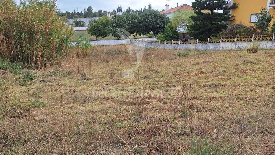 Terreno para Venda em Alcanede
