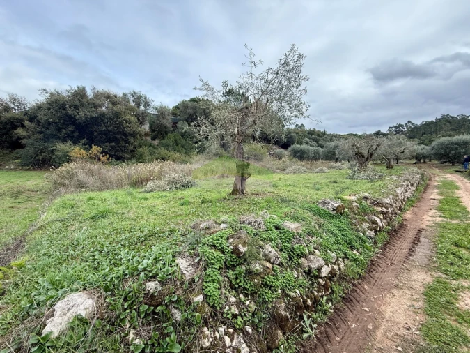 Terreno para Venda em Arrabal Foto 3