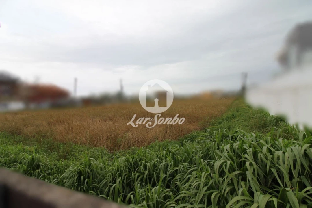 Terreno para Venda em Mindelo Foto 2