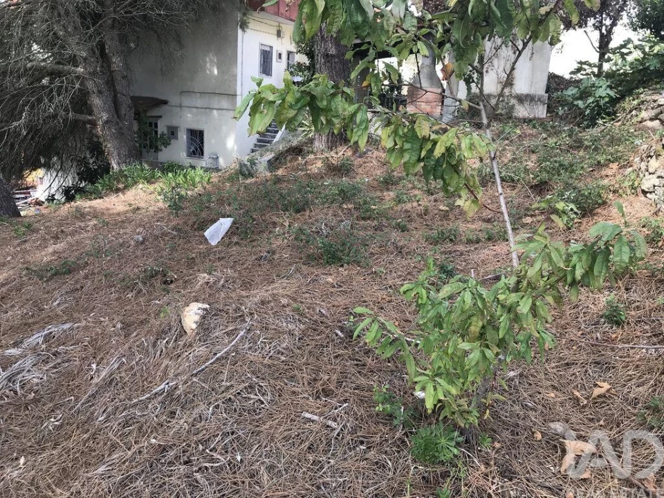 Terreno para Venda em Ramada e Caneças Foto 13
