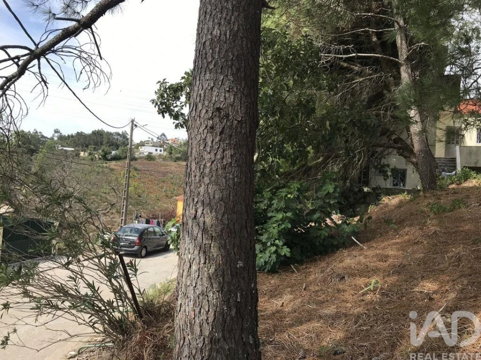 Terreno para Venda em Ramada e Caneças Foto 25