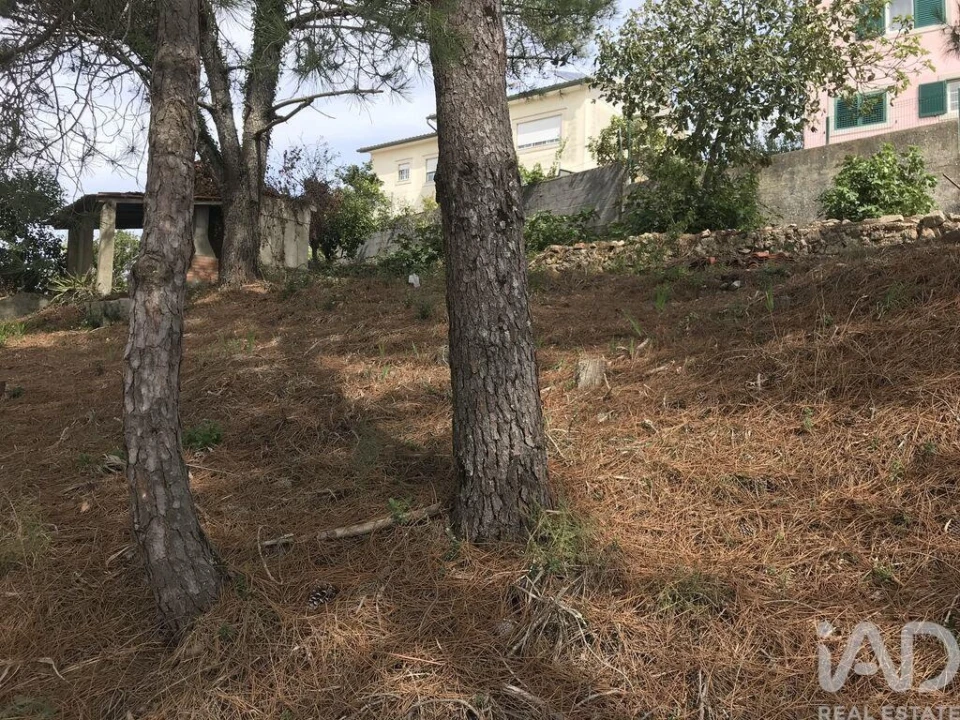 Terreno para Venda em Ramada e Caneças Foto 17